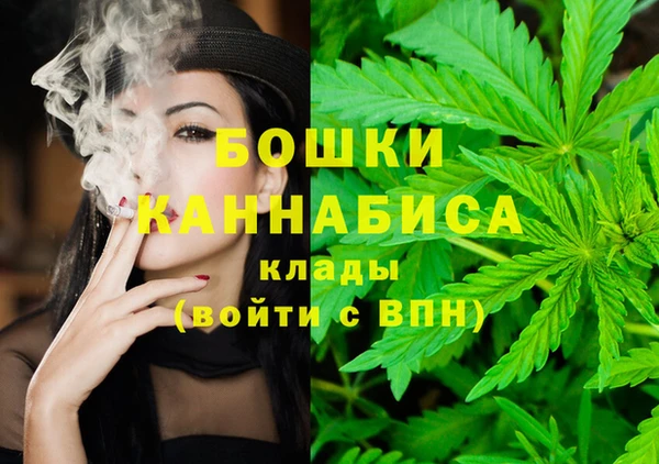 дурь Ладушкин