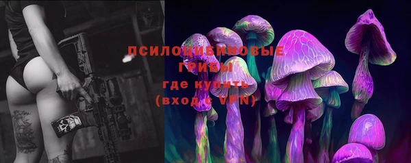 дурь Ладушкин